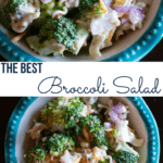 Best Broccoli Salad Recipe