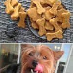 Easy Homemade Pumpkin Dog Biscuits