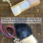 Yellow example of the Male Dog Incontinence Band (Piddle Protector) on a small male dog.