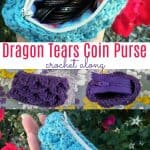 Dragon Tears Coin Purse Crochet Along CAL