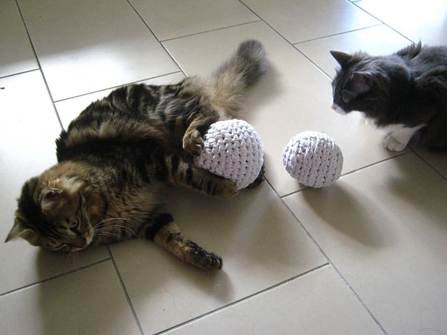 t-shirt yarn cat toys