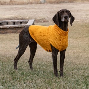 Free crochet dog sweater pattern tutorial for large dogs