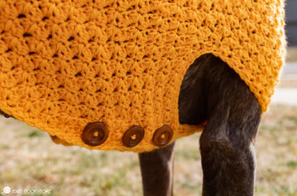 Easy Crochet Dog Sweater for Large, XL, XXL Dogs, and Giant Dogs (Printable Version) - Image 5