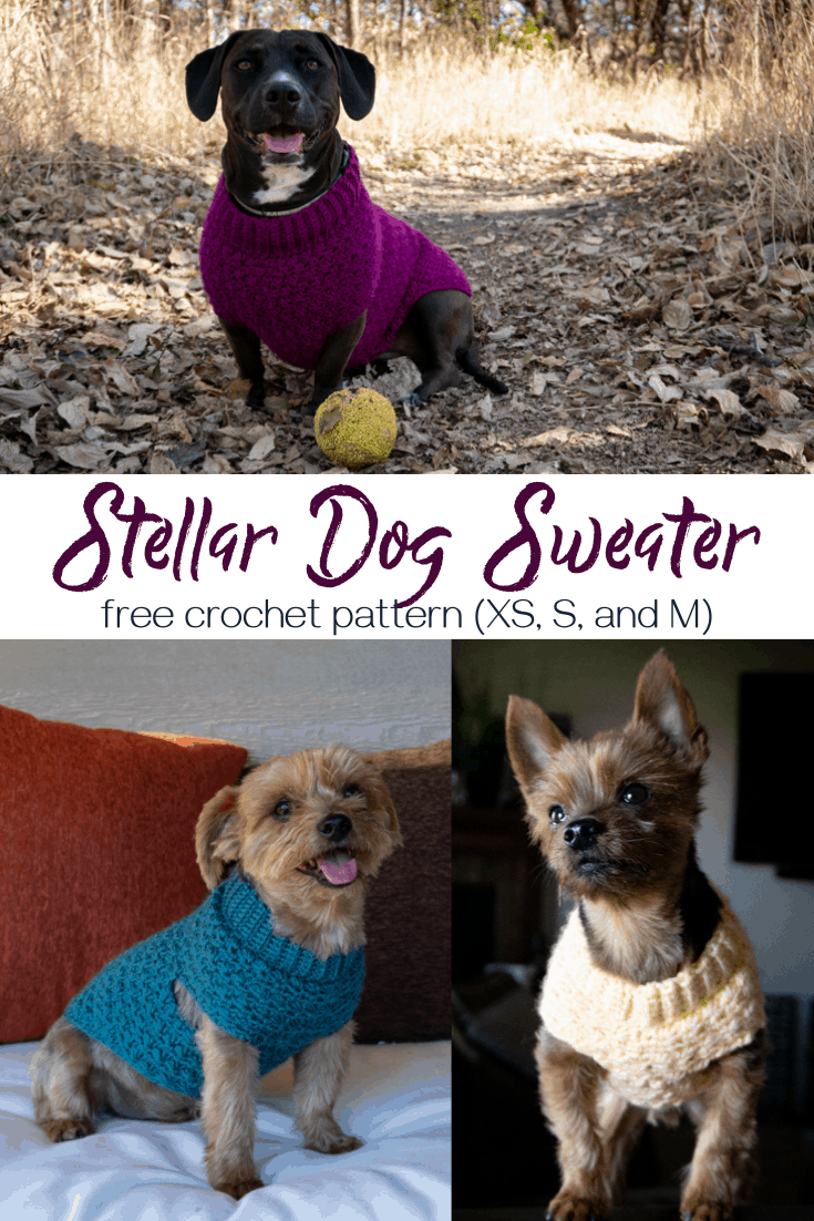 Stellar Dog Sweater Crochet Pattern - Heart Hook Home