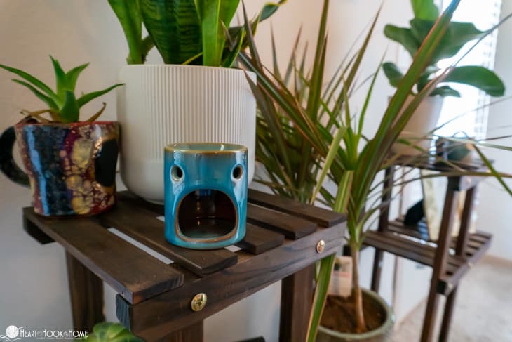 Plant stand with various plants in pots. 