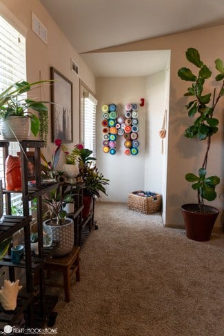 Plant stand near a window with various plants in pots and an \"H\" shaped Yarn Wall with various colored cakes of yarn.