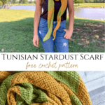Tunisian Stardust Scarf crochet pattern