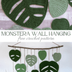 how to crochet monstera leaves