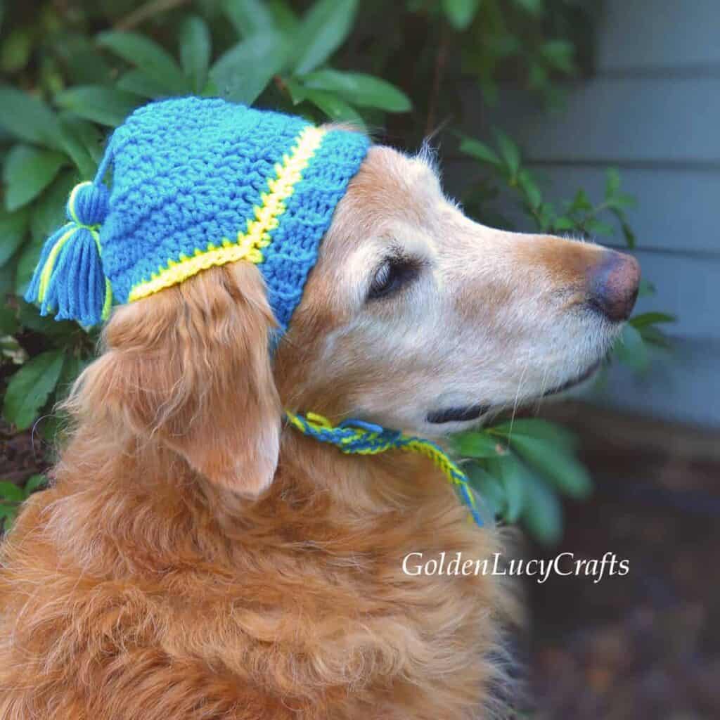 18 Awesome Free Crochet Patterns for Pets - Heart Hook Home 18-awesome-free-crochet-patterns-for-pets-heart-hook-home