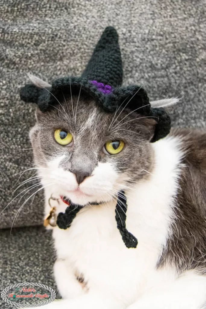 White and gray cat wearing a black with a purple stripe, Cat Witch Hat crochet pattern.