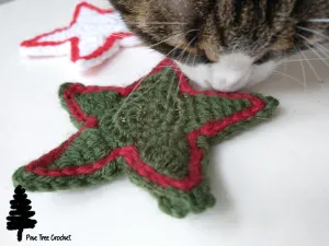 Cat sniffing a green and red outlined Star Cat Toy crochet pattern.