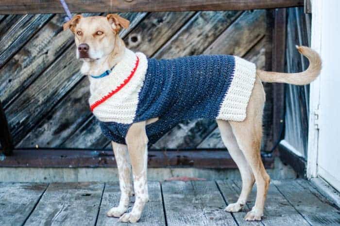 crochet dog sweater big dogs