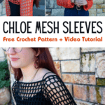 Chloe Mesh Sleeves Top