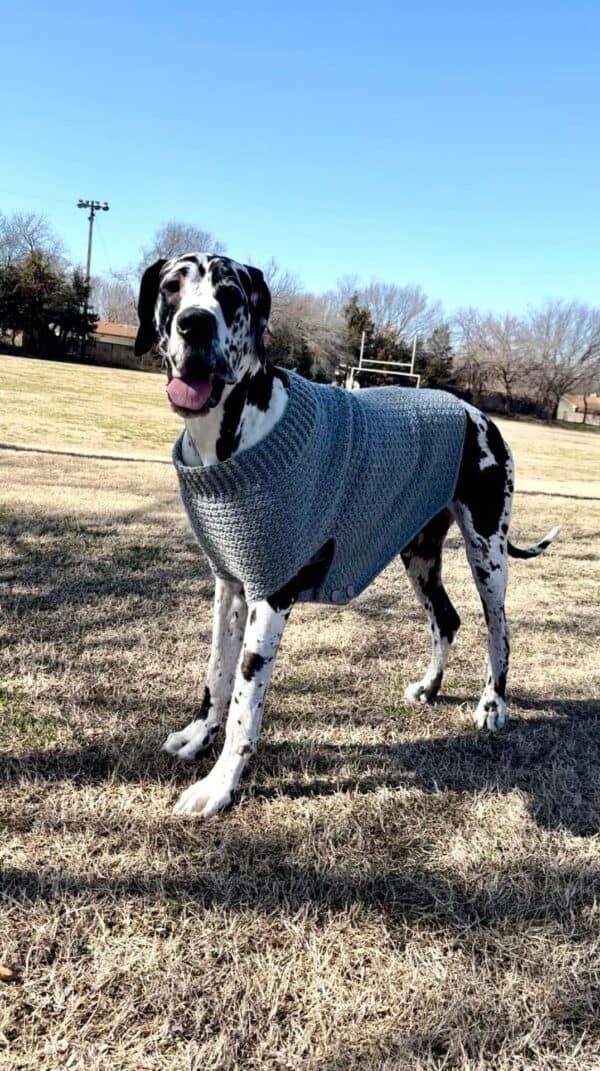 Easy Crochet Dog Sweater for Large, XL, XXL Dogs, and Giant Dogs (Printable Version) - Image 7