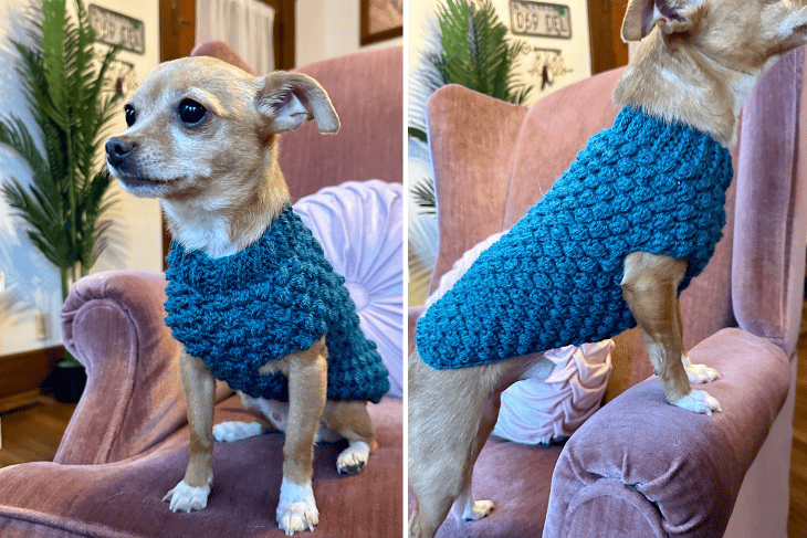 tiny dog sweater crochet pattern