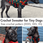 Examples of the Tiny Berry Dog Sweater
