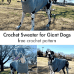 Examples of the Giant Dog Sweater on a Great Dane