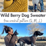 Wild Berry Dog Sweater