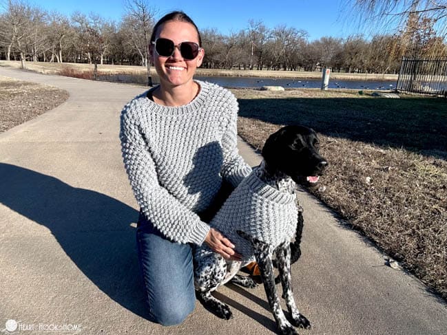wild berry sweater dogs
