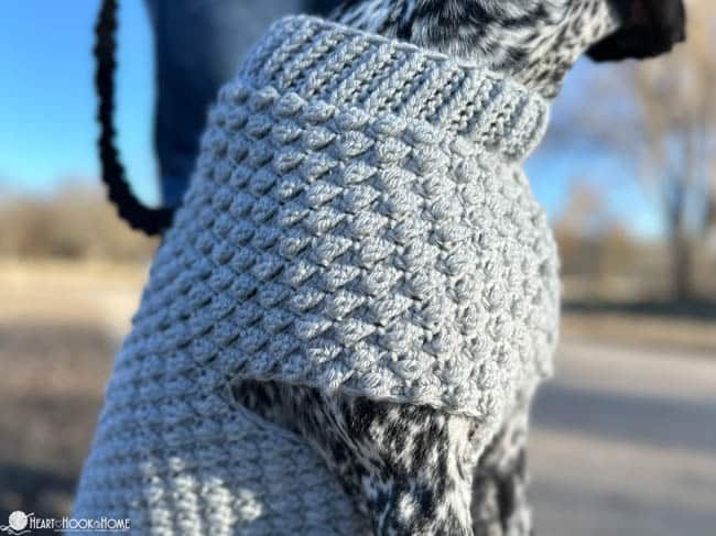 Large size of Wild Berry Dog Sweater