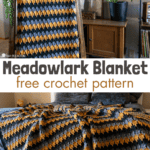 Meadowlark Blanket free larksfoot crochet blanket pattern