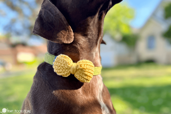 Dog collar bow tie crochet pattern