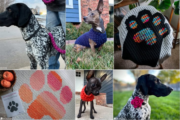 pet crochet patterns