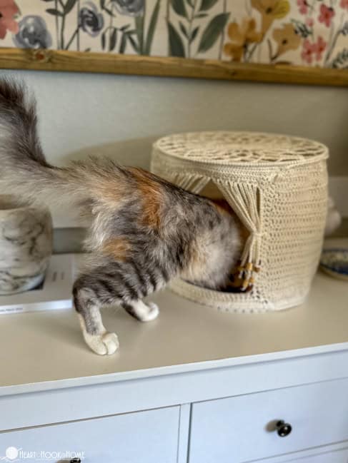 Cat entering the Crochet Cat Cave pattern example on a shelf.