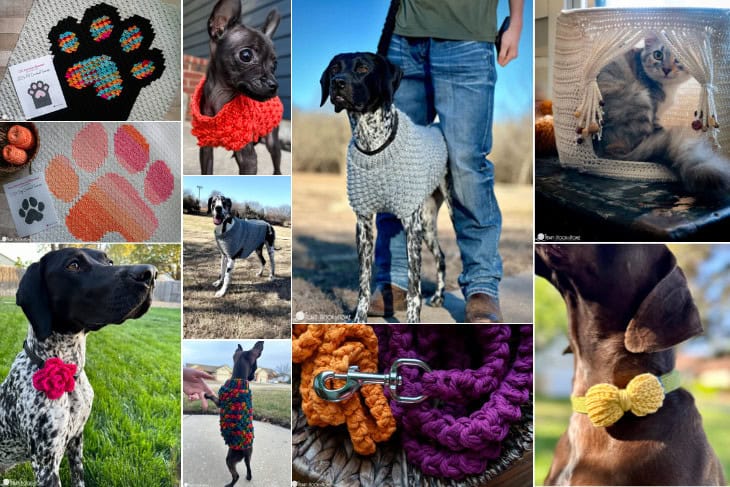 Collage of various pictures of the 2024 Pet Series ranging from dogs in sweaters to blankets and a cat cave.