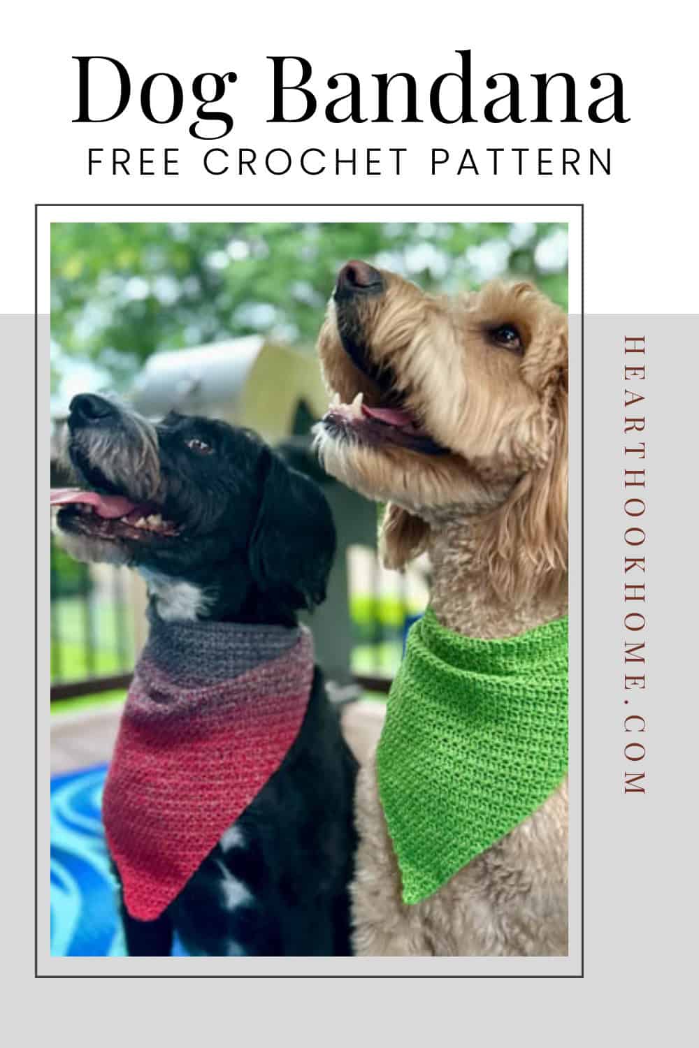 Free Dog Bandana Crochet Pattern Heart Hook Home