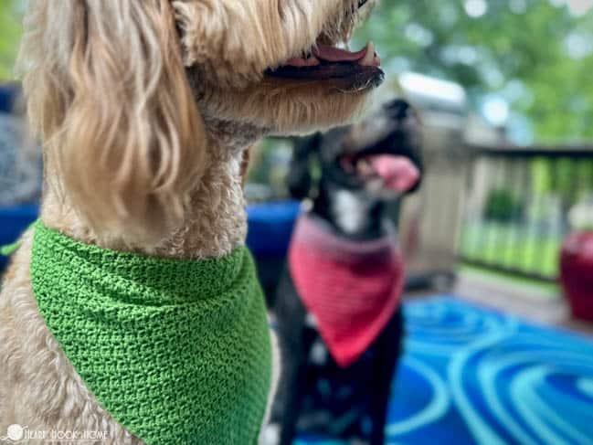 green and red crochet dog bandanas