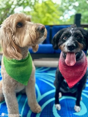 red and green crocheted dog bananas pattern