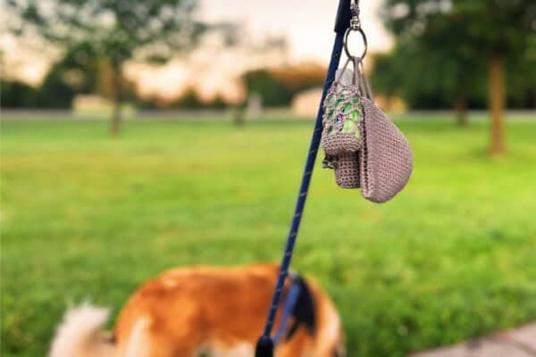 dog with leash and crocheted dog treat bag