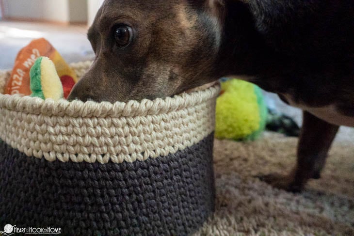 dog toy basket