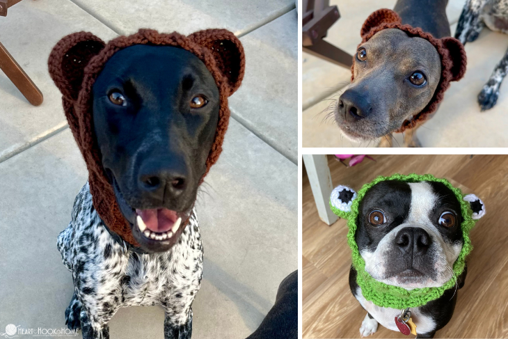Black and white dog and a small brown dog both wearing a brown bear example of the Dog Snood crochet pattern and a black and white Boston Terrier wearing a green frog version of the Dog Snood crochet pattern.