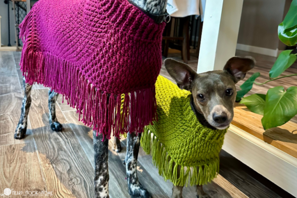 Dog Poncho (Printable Version) - Image 7