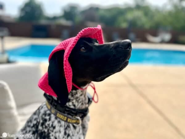 Dog Bucket Hat (Printable Version) - Image 5