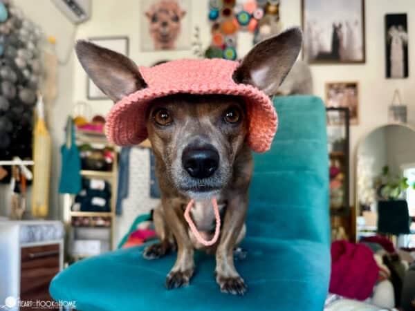 Dog Bucket Hat (Printable Version) - Image 7