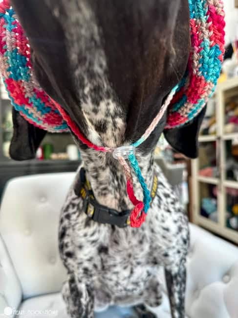 drawstring closure on dog bucket hat