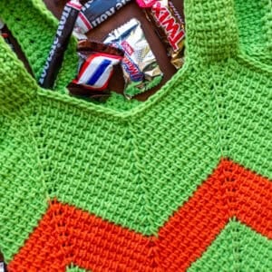 Tunisian Trick-or-Treat Bag (Printable Version)