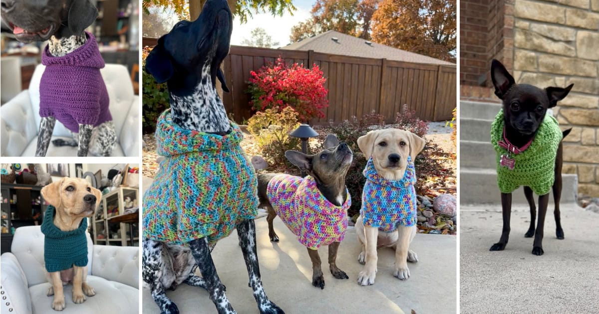 Easy Dog Hoodie Crochet Pattern