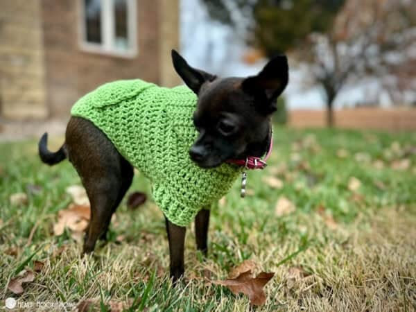 Dog Hoodie (Printable Version) - Image 3