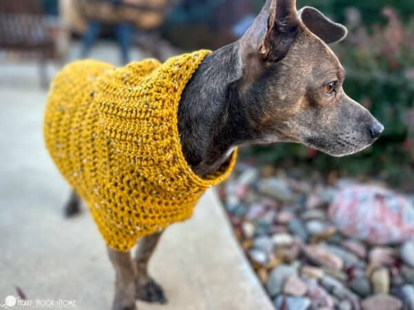 Dog Hoodie (Printable Version) - Image 7