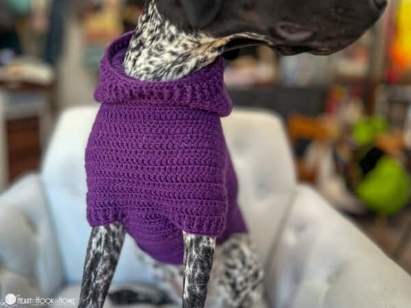 Dog Hoodie (Printable Version) - Image 4