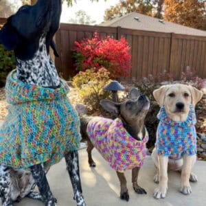 Dog Hoodie (Printable Version)