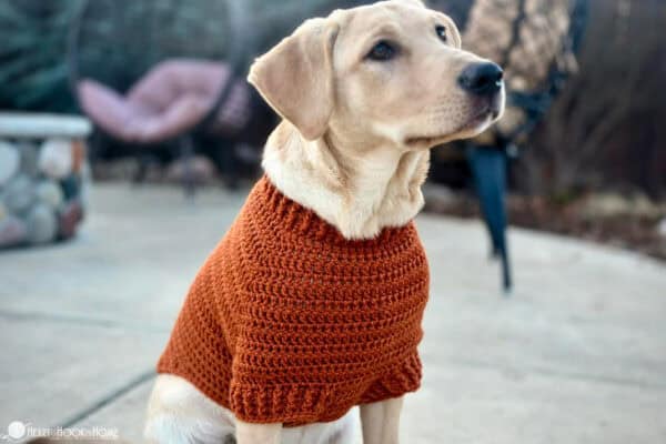 Raglan Dog Sweater (Printable Version) - Image 3