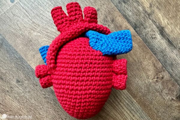 Anatomical Heart (Printable Version) - Image 4