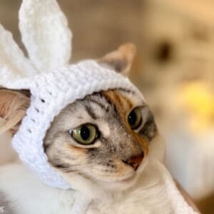 Easter Bunny Cat Hat (Printable Version)